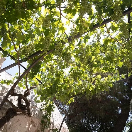 Masseria Fumarola Il Cavaliere By Rentbeat *